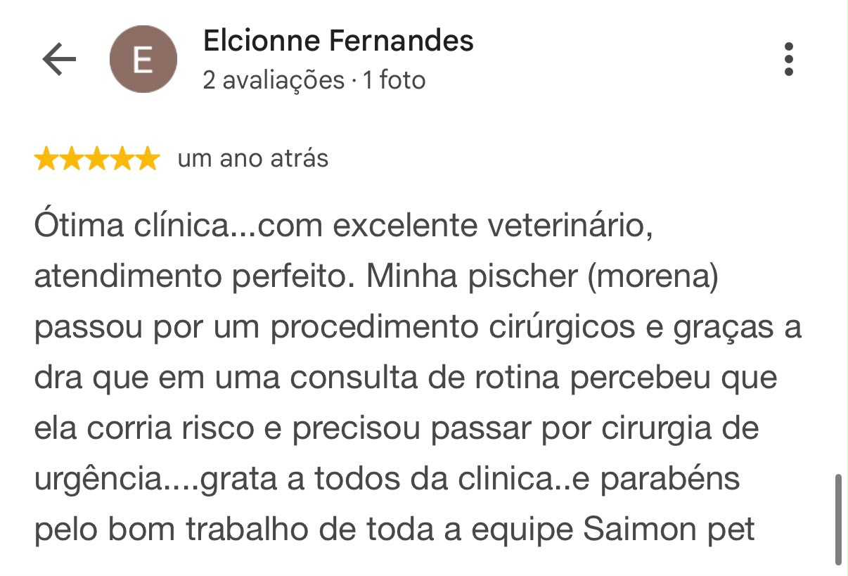 Avaliação de Elcionne Fernandes publicada no Google sobre a Saimon Pet